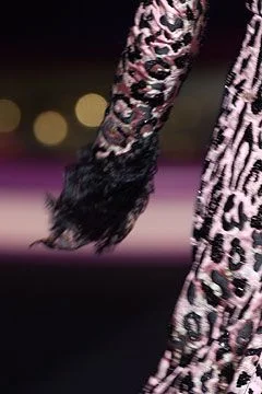 Look 16